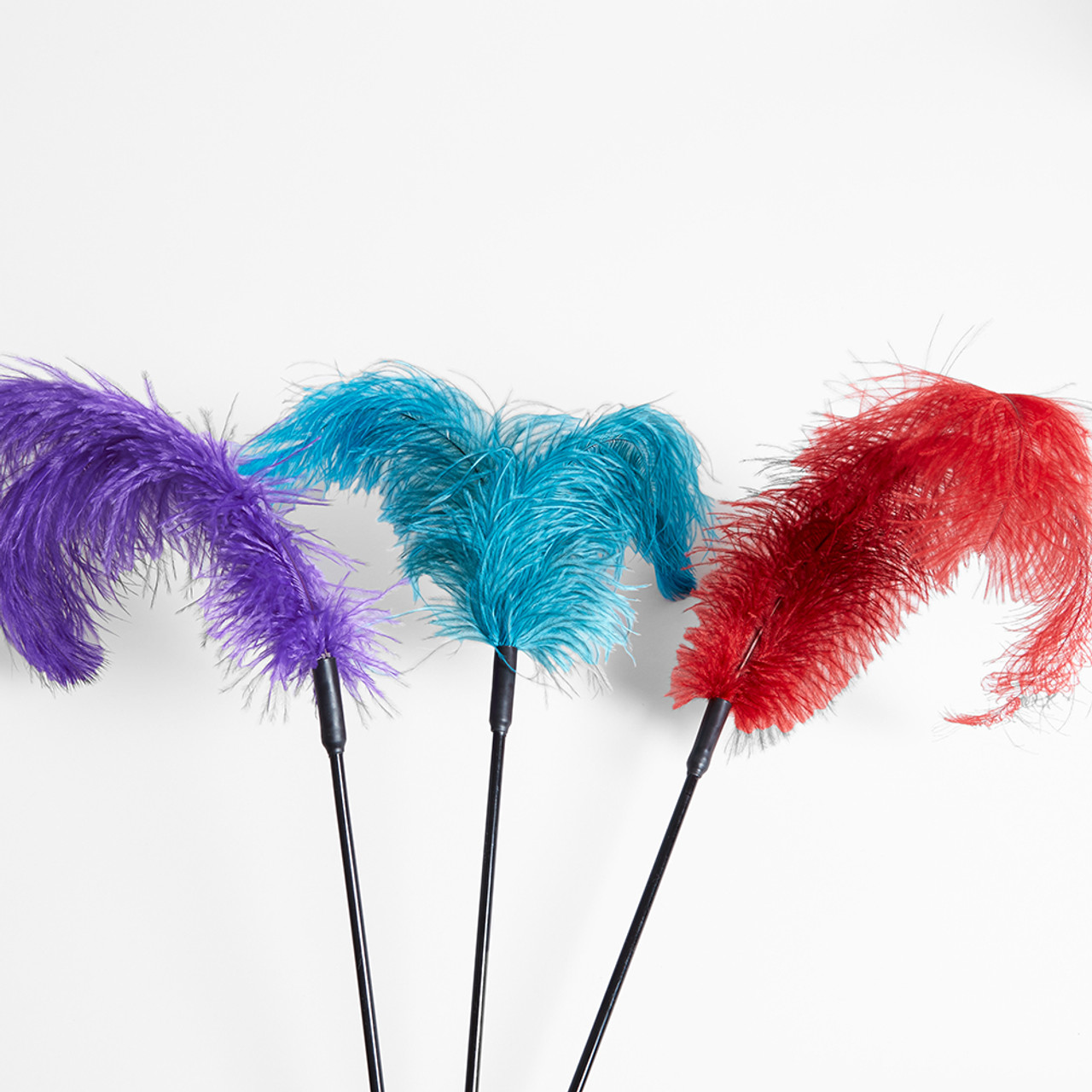 Ostrich Feather Tickler